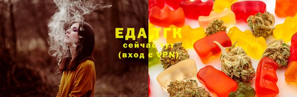 ECSTASY Алзамай