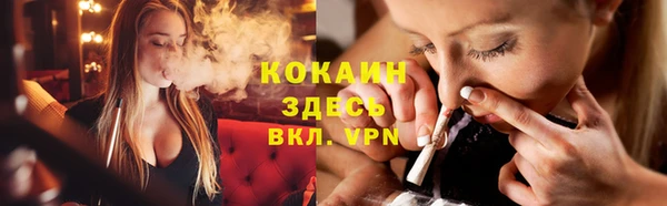 ECSTASY Алзамай