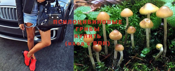 эйфоретик Алексеевка