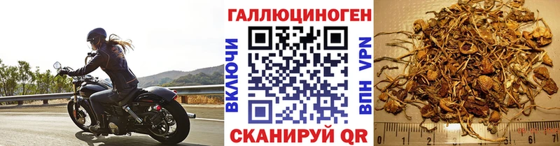 Псилоцибиновые грибы MAGIC MUSHROOMS  Купить где  Костомукша 