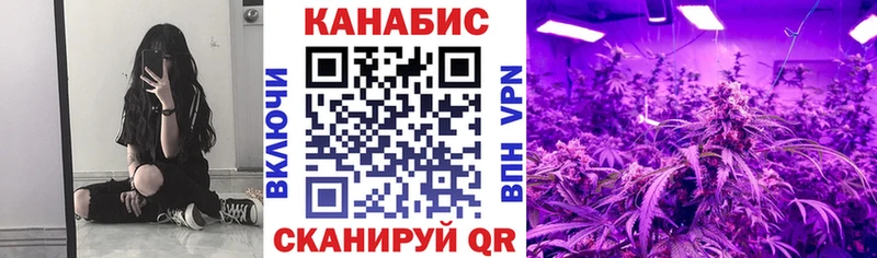 Канабис Amnesia  Купить закладки  Костомукша 